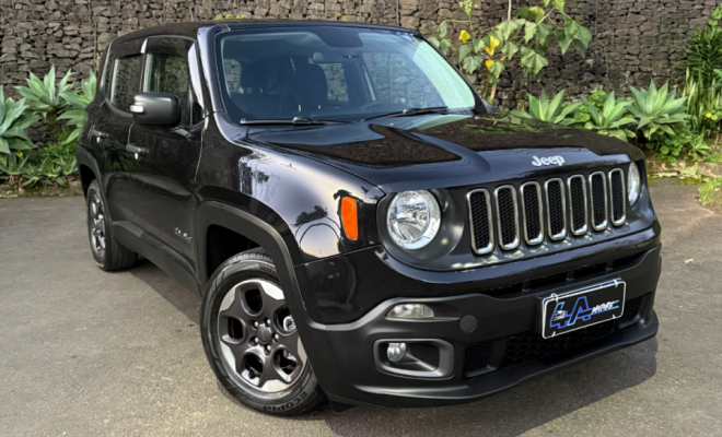 Jeep Renegade Sport 1.8 4x2 Flex 16V Aut. 2016 Flex-2