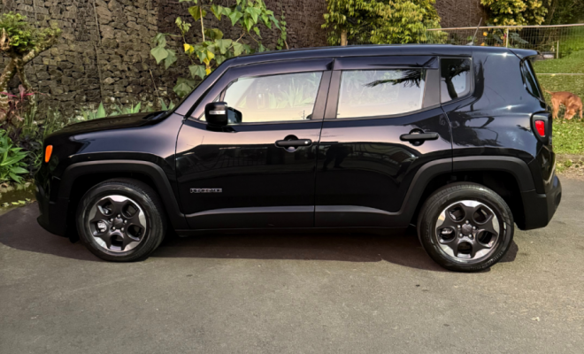 Jeep Renegade Sport 1.8 4x2 Flex 16V Aut. 2016 Flex-6
