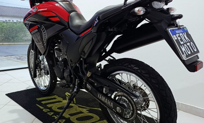 YAMAHA XTZ 250 LANDER 249cc/LANDER BLUEFLEX/ABS 2023 Flex-2