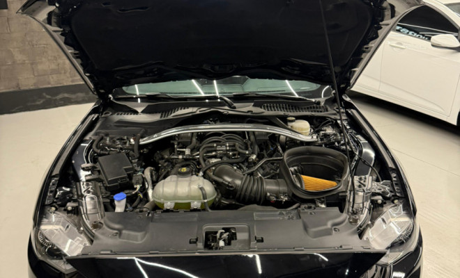 Ford Mustang MACH 1 5.0 V8 2021 Gasolina-16