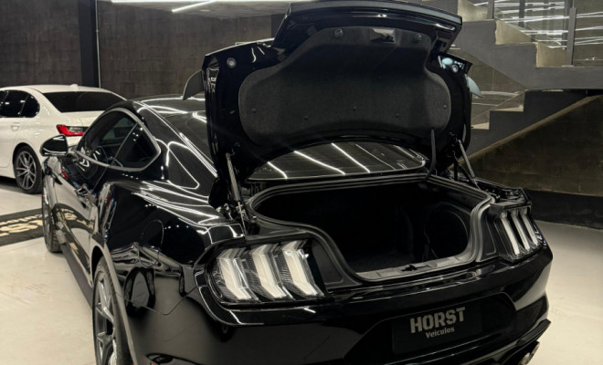 Ford Mustang MACH 1 5.0 V8 2021 Gasolina-14