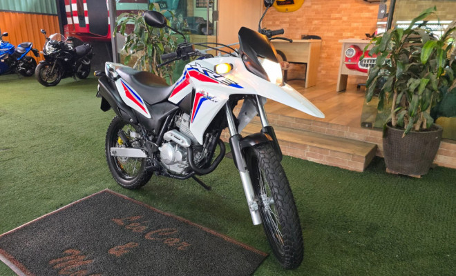 HONDA XRE 300 RALLY FLEX 2017 Flex-8