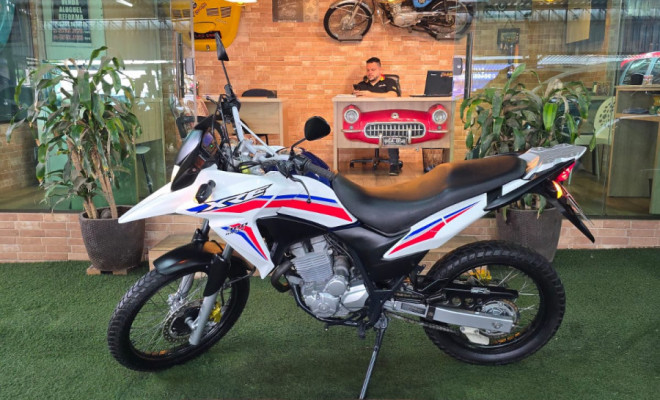 HONDA XRE 300 RALLY FLEX 2017 Flex