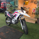 HONDA XRE 300 RALLY FLEX 2017 Flex-8