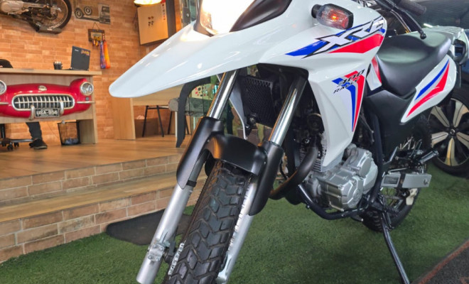 HONDA XRE 300 RALLY FLEX 2017 Flex-3