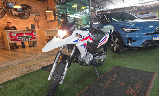 HONDA XRE 300 RALLY FLEX 2017 Flex-4