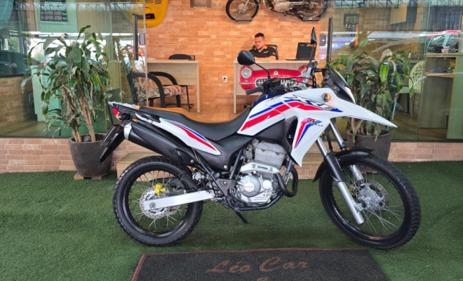 HONDA XRE 300 RALLY FLEX 2017 Flex-0