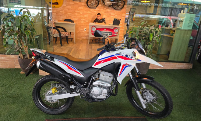 HONDA XRE 300 RALLY FLEX 2017 Flex-7