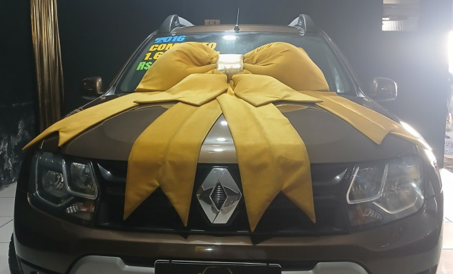 Renault DUSTER Dynamique 1.6 Flex 16V Mec. 2016 Flex-2
