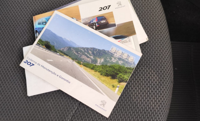 Peugeot 207 XR 1.4 Flex 8V 5p 2012 Flex-6