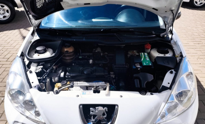 Peugeot 207 XR 1.4 Flex 8V 5p 2012 Flex-7