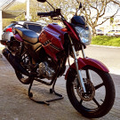 YAMAHA YS 150 FAZER ED/FLEX 2015 Flex-0