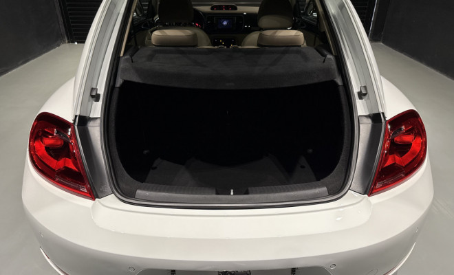 VW - VolksWagen Fusca 2.0 TSI 16V Aut. 2015 Gasolina-15