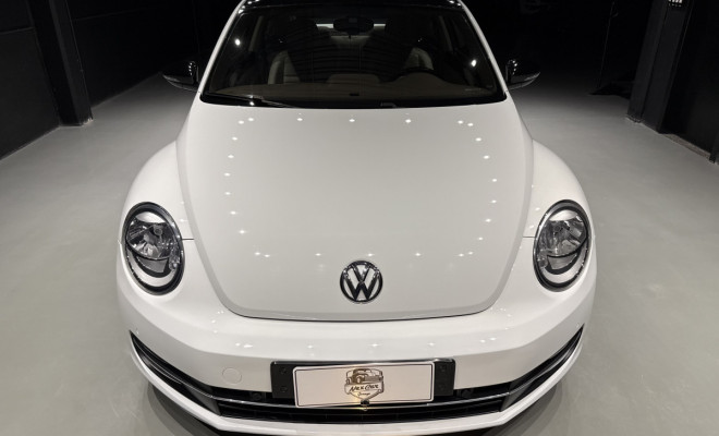VW - VolksWagen Fusca 2.0 TSI 16V Aut. 2015 Gasolina-14