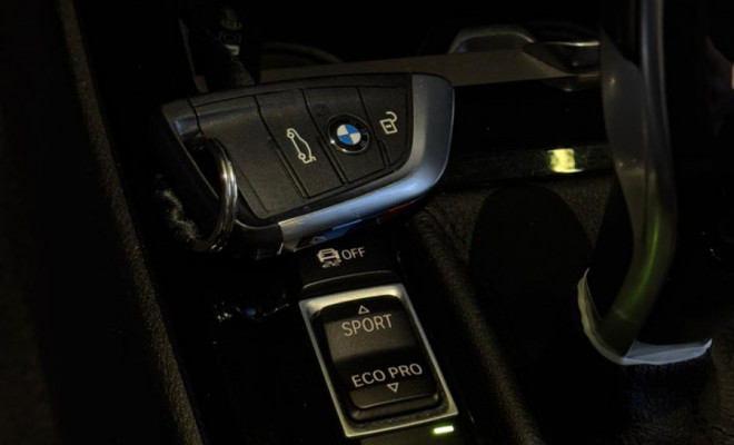 BMW X2 SDRIVE  20i M Sp/M Sp 2.0 TB Flex Aut 2018 Flex-12