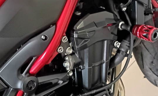 KAWASAKI Z 900 2025 Gasolina-12