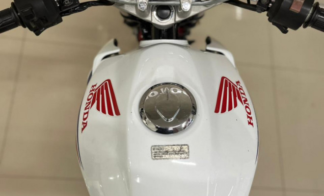 HONDA CB 300R/ 300R FLEX 2015 Flex-2