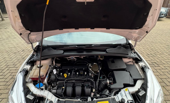 Ford Focus Fastback SE/SE PLUS 2.0 Flex Aut. 2018 Flex-12