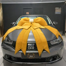 Fiat ARGO DRIVE 1.0 6V Flex 2024 Flex-2