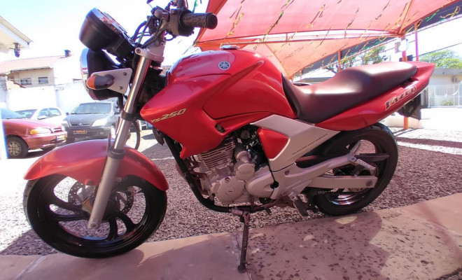 YAMAHA YS 250 FAZER/ FAZER L. EDITION /BLUEFLEX 2008 Flex-9