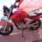 YAMAHA YS 250 FAZER/ FAZER L. EDITION /BLUEFLEX 2008 Flex-9