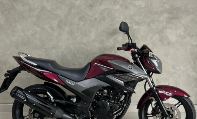 YAMAHA YS 250 FAZER/ FAZER L. EDITION /BLUEFLEX 2017 Flex-0