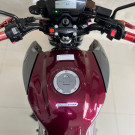 YAMAHA YS 250 FAZER/ FAZER L. EDITION /BLUEFLEX 2017 Flex-2