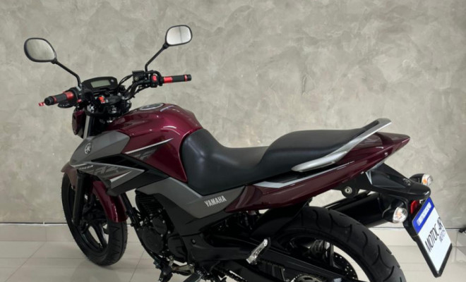 YAMAHA YS 250 FAZER/ FAZER L. EDITION /BLUEFLEX 2017 Flex-3