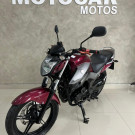 YAMAHA YS 250 FAZER/ FAZER L. EDITION /BLUEFLEX 2017 Flex-5