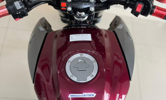 YAMAHA YS 250 FAZER/ FAZER L. EDITION /BLUEFLEX 2017 Flex-2