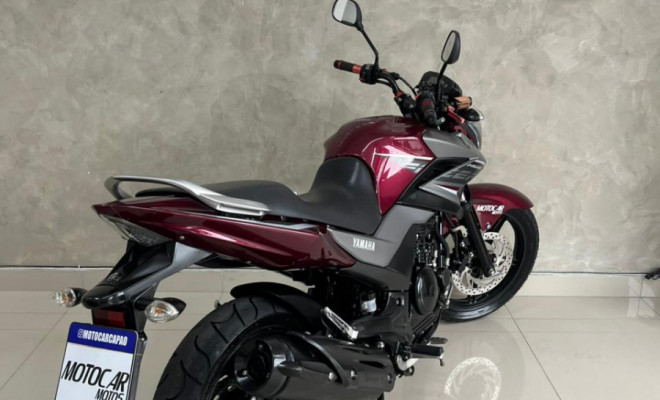 YAMAHA YS 250 FAZER/ FAZER L. EDITION /BLUEFLEX 2017 Flex-1