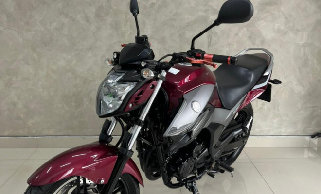 YAMAHA YS 250 FAZER/ FAZER L. EDITION /BLUEFLEX 2017 Flex-5