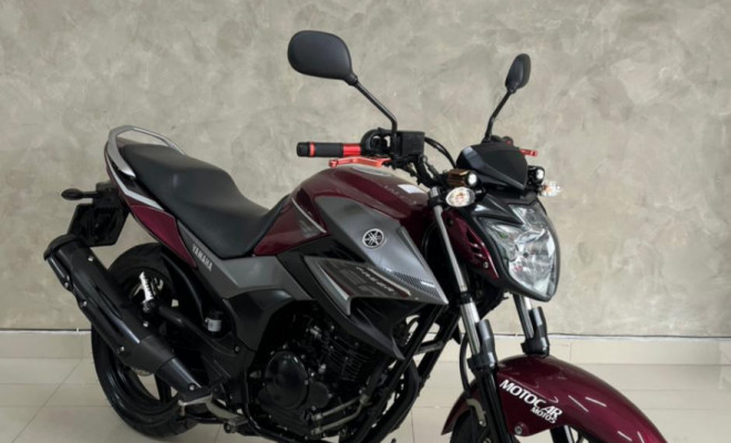 YAMAHA YS 250 FAZER/ FAZER L. EDITION /BLUEFLEX 2017 Flex