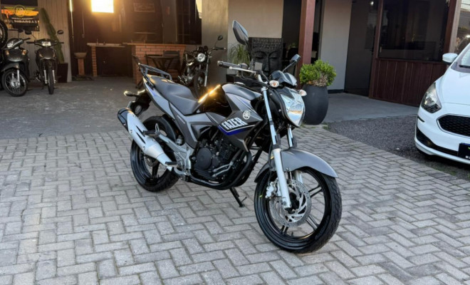 YAMAHA YS 250 FAZER/ FAZER L. EDITION /BLUEFLEX 2015 Flex-0