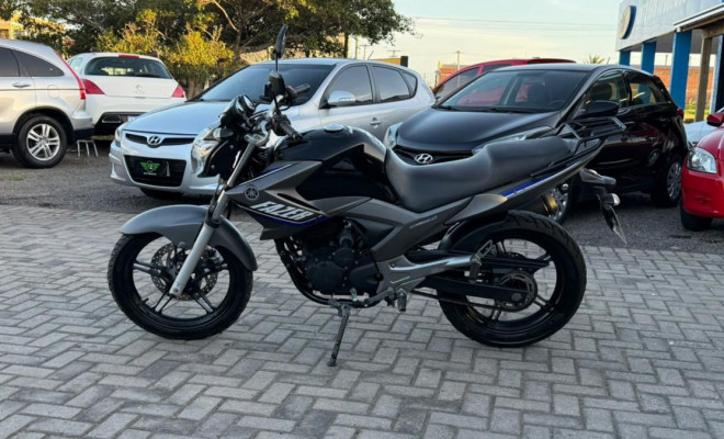 YAMAHA YS 250 FAZER/ FAZER L. EDITION /BLUEFLEX 2015 Flex-9