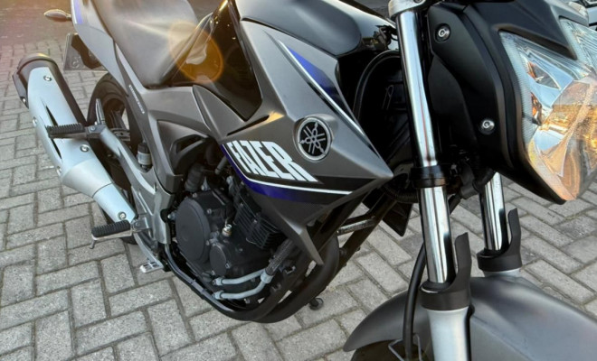 YAMAHA YS 250 FAZER/ FAZER L. EDITION /BLUEFLEX 2015 Flex-5