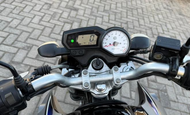 YAMAHA YS 250 FAZER/ FAZER L. EDITION /BLUEFLEX 2015 Flex-4