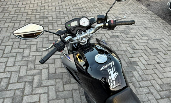 YAMAHA YS 250 FAZER/ FAZER L. EDITION /BLUEFLEX 2015 Flex-14