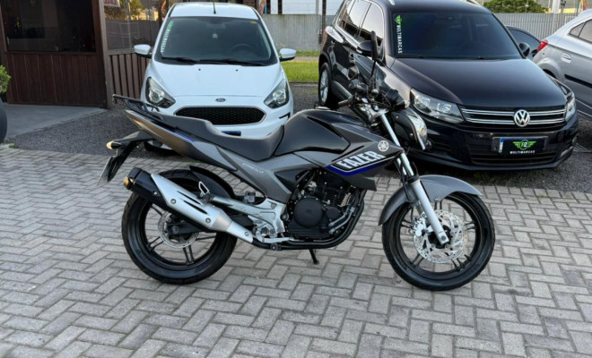 YAMAHA YS 250 FAZER/ FAZER L. EDITION /BLUEFLEX 2015 Flex-3