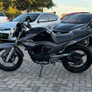 YAMAHA YS 250 FAZER/ FAZER L. EDITION /BLUEFLEX 2015 Flex-9