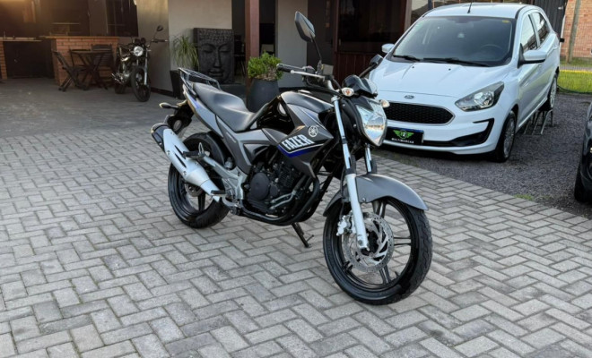 YAMAHA YS 250 FAZER/ FAZER L. EDITION /BLUEFLEX 2015 Flex-10