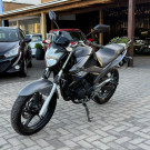 YAMAHA YS 250 FAZER/ FAZER L. EDITION /BLUEFLEX 2015 Flex-1