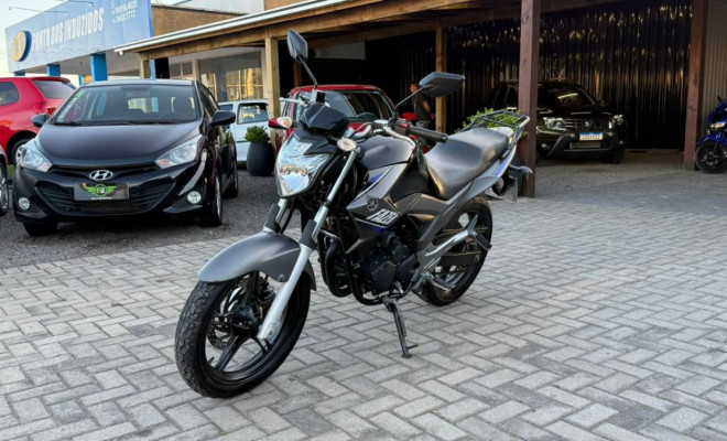 YAMAHA YS 250 FAZER/ FAZER L. EDITION /BLUEFLEX 2015 Flex-1