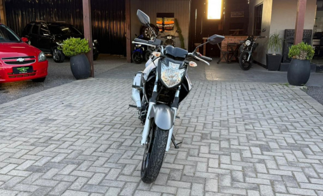 YAMAHA YS 250 FAZER/ FAZER L. EDITION /BLUEFLEX 2015 Flex-7