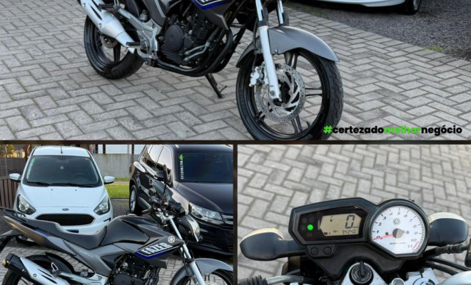 YAMAHA YS 250 FAZER/ FAZER L. EDITION /BLUEFLEX 2015 Flex