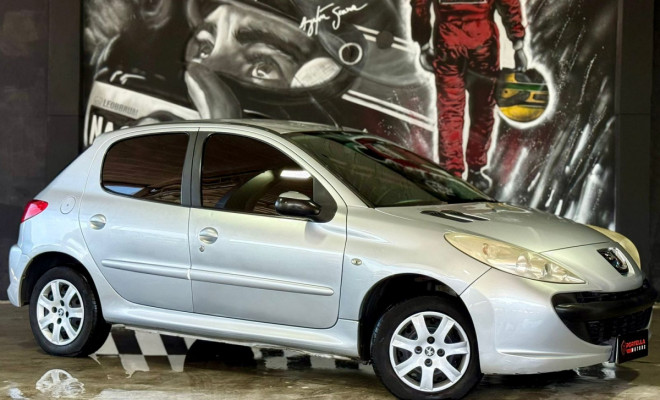 Peugeot 207 XR 1.4 Flex 8V 5p 2010 Flex-3