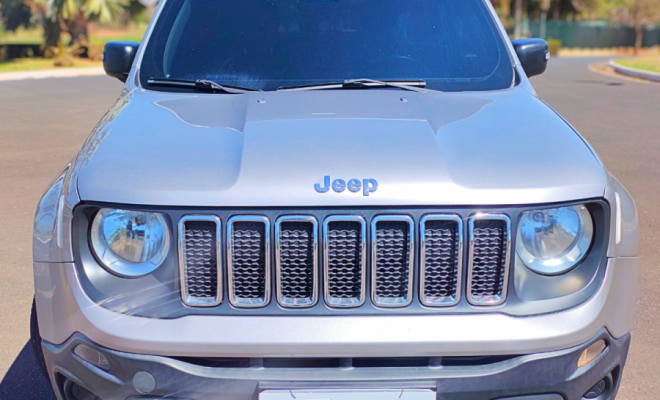 Renegade Sport Aut.1.8 Flex 2019-0