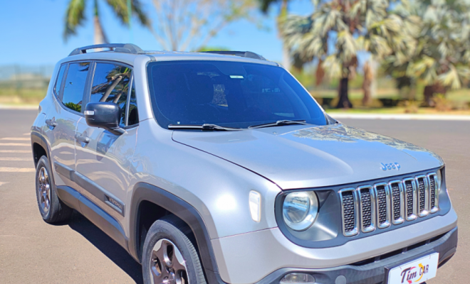 Renegade Sport Aut.1.8 Flex 2019-1