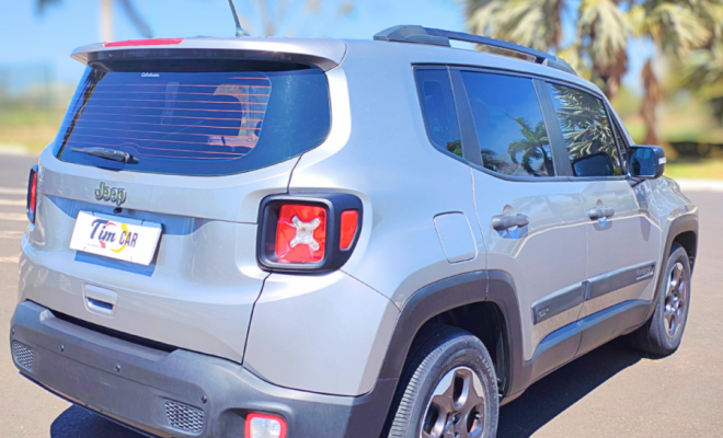 Renegade Sport Aut.1.8 Flex 2019-3