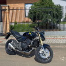 HONDA CB 600F HORNET 2010 Gasolina-3
